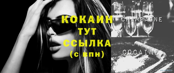 гашик Новокубанск