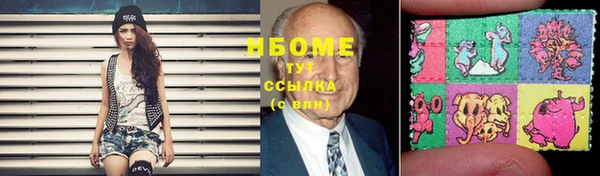 крисы Новодвинск
