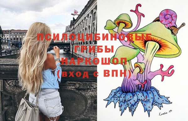 гашик Новокубанск