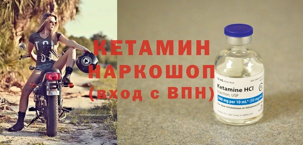 крисы Новодвинск