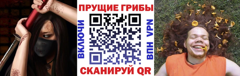 omg зеркало  это какой сайт  Галлюциногенные грибы мицелий  купить   Богородск 