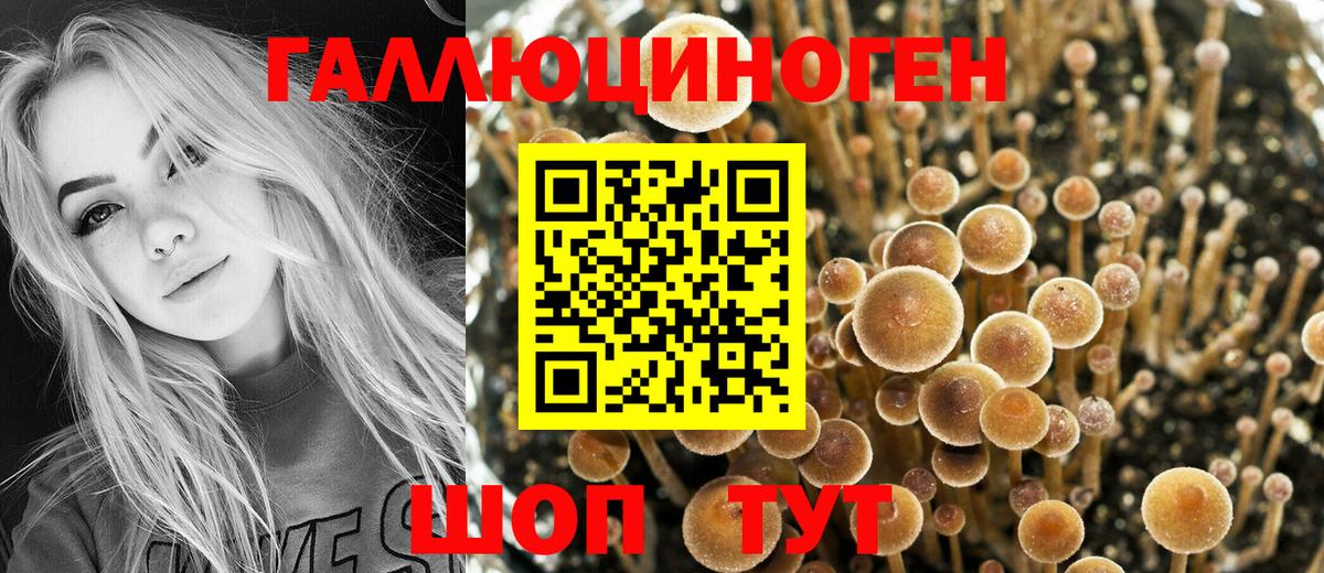 Псилоцибиновые грибы Psilocybe  магазин    Богородск  Вход с VPN 