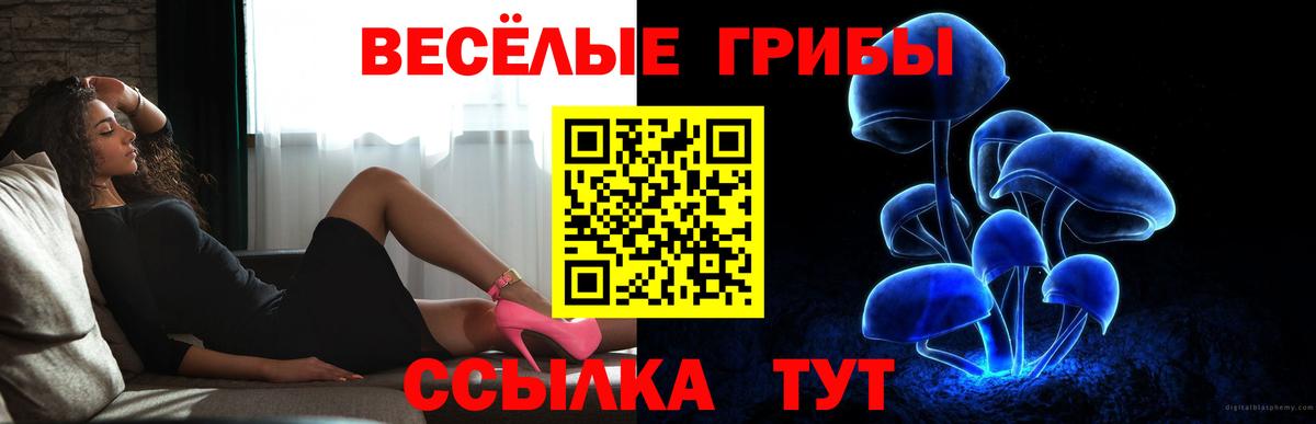 Галлюциногенные грибы прущие грибы Богородск