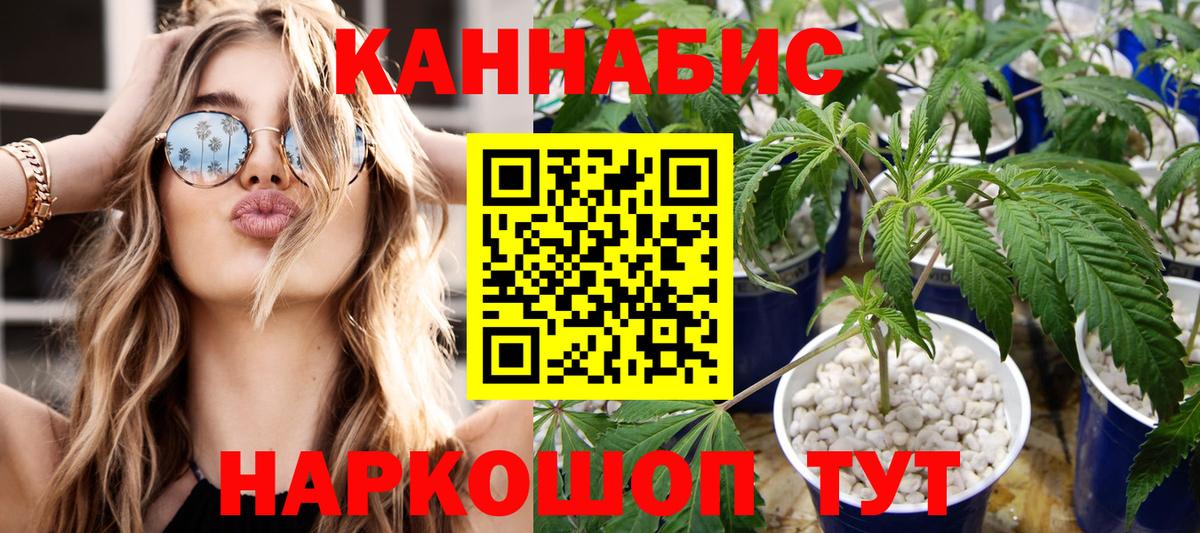 Канабис ГИДРОПОН Богородск